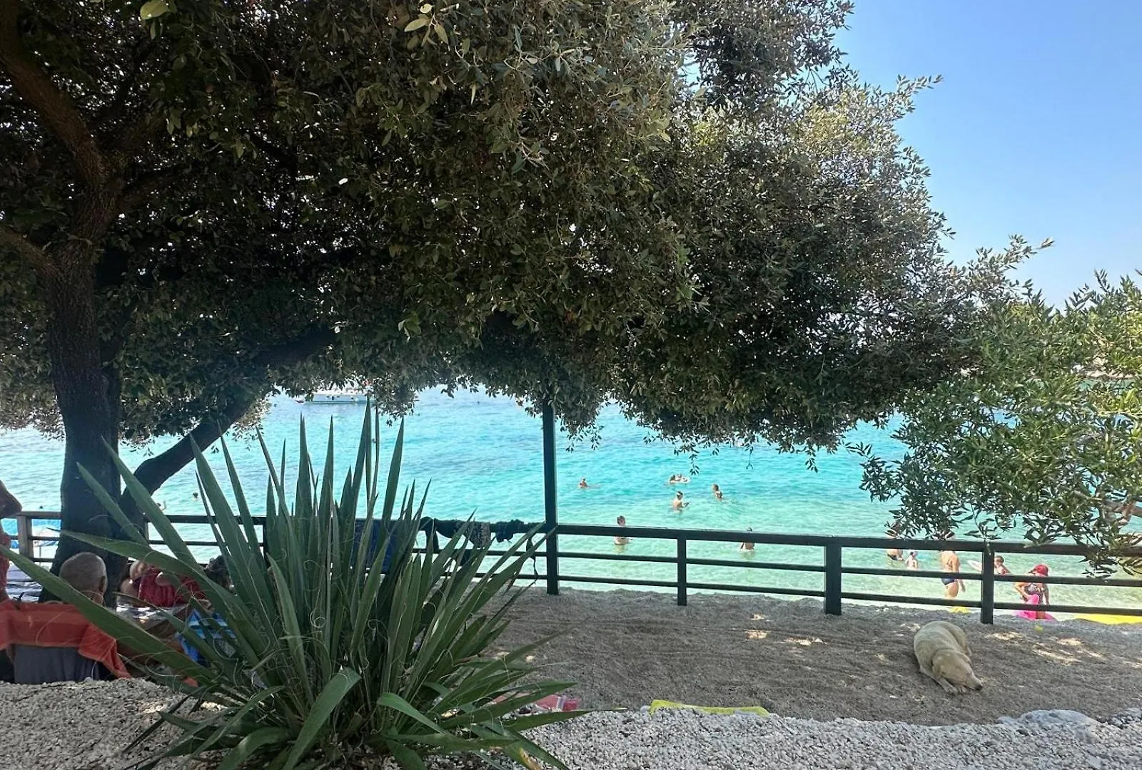 Medusalina-Maestrale Trogir Apartment
